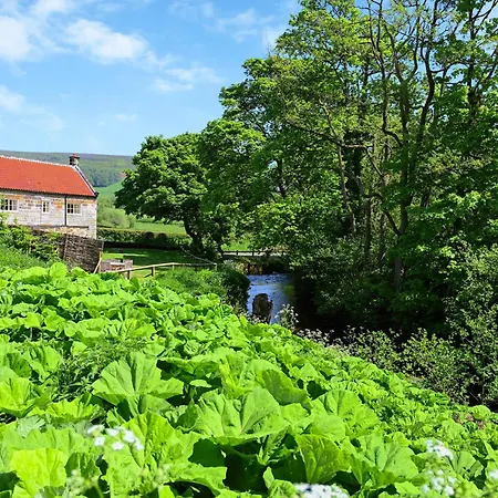 Ristbrow Farm * Hawnby