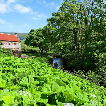 Ristbrow Farm Сasa de vacaciones Hawnby