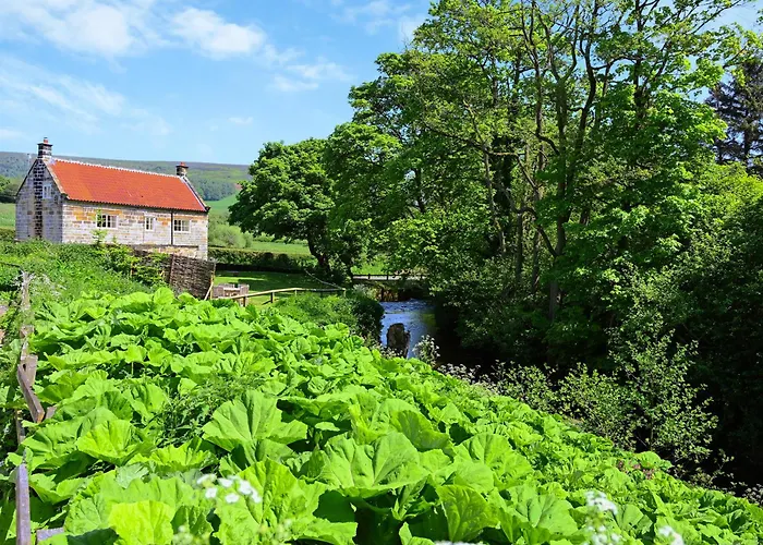 Ristbrow Farm Holiday home Hawnby
